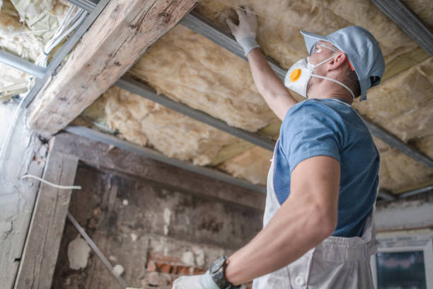 Best Geographic-Specific Insulation Services in Spicer, MN