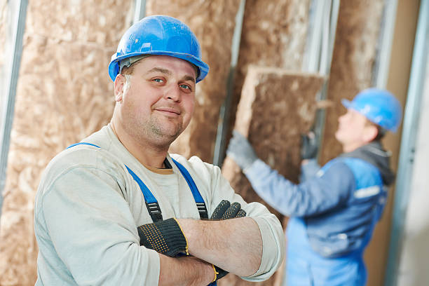 Best DIY Insulation Kits and Guidance in Spicer, MN